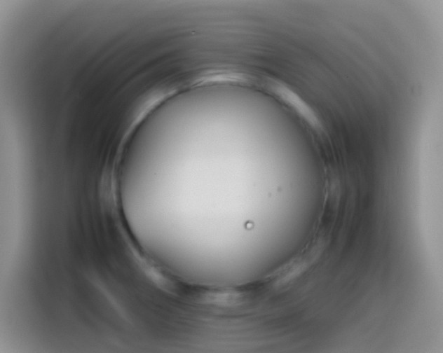 X0000113871282200910011105