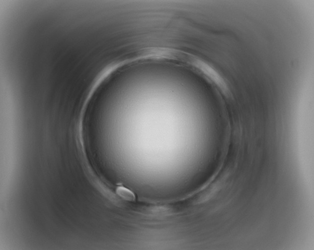 X0000113871283200910011105