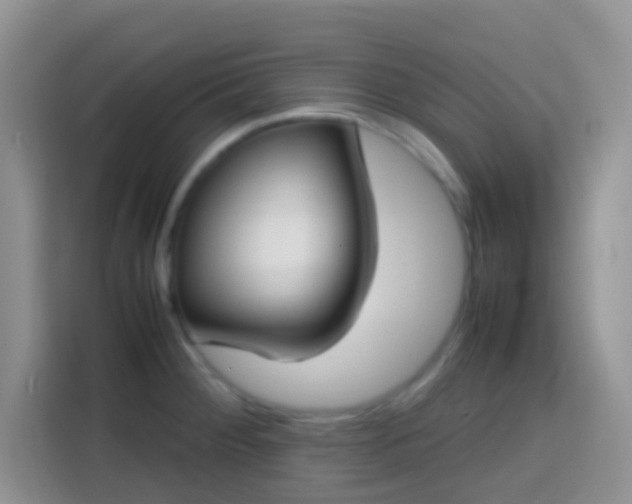 X0000113871284200910011105