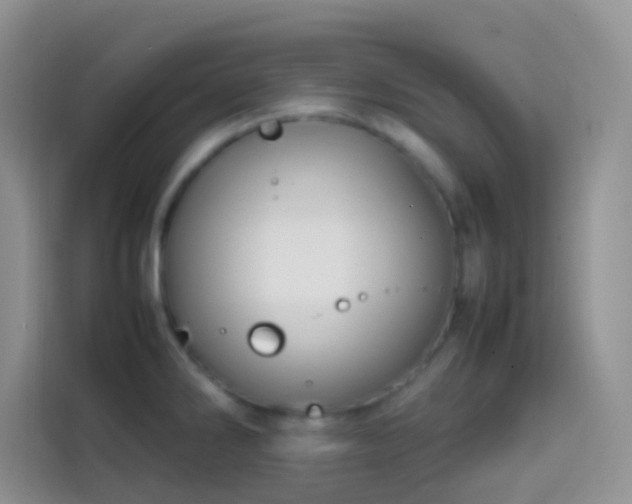 X0000113871286200910011105