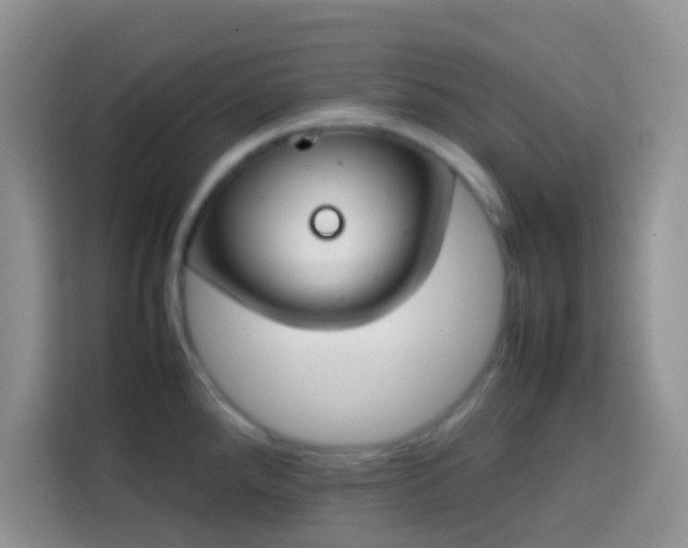 X0000113871288200910011105