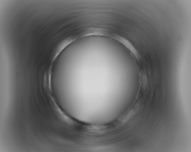 X0000113871290200910011105