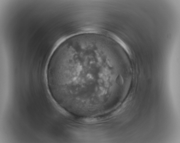 X0000113871291200910011105