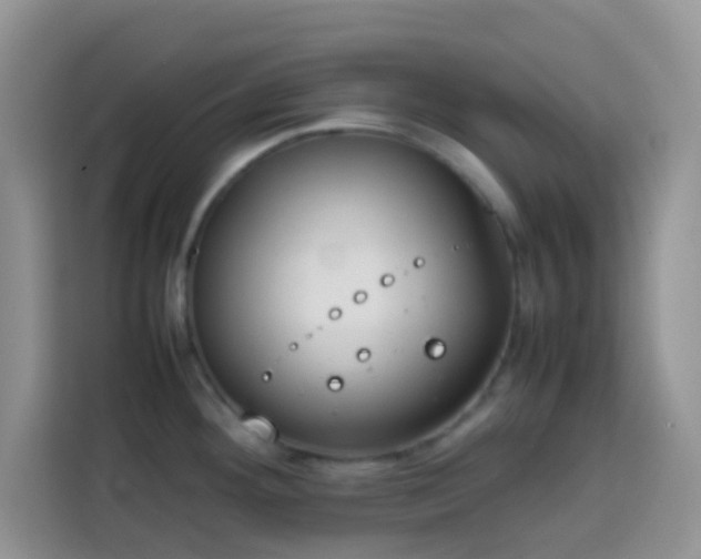 X0000113871292200910011105