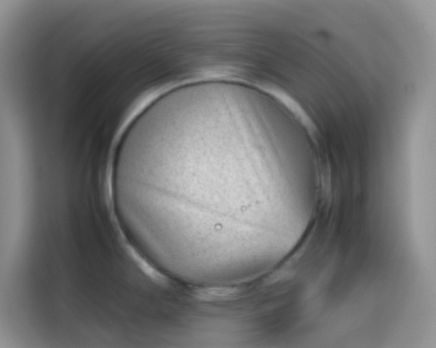 X0000113871294200910011105