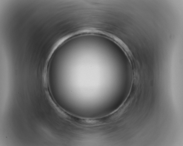 X0000113871295200910011105