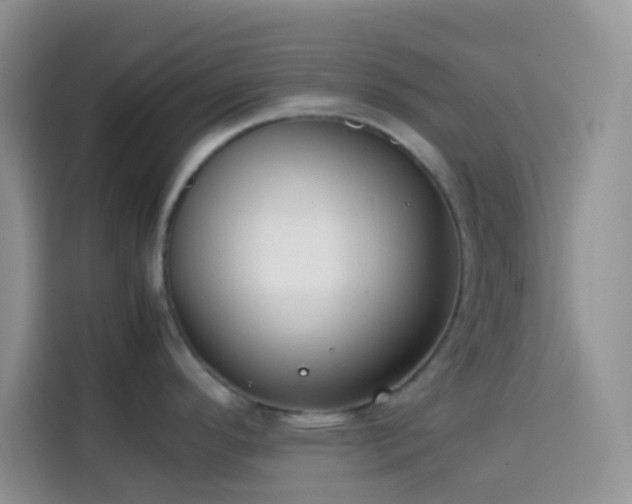 X0000113871296200910011105