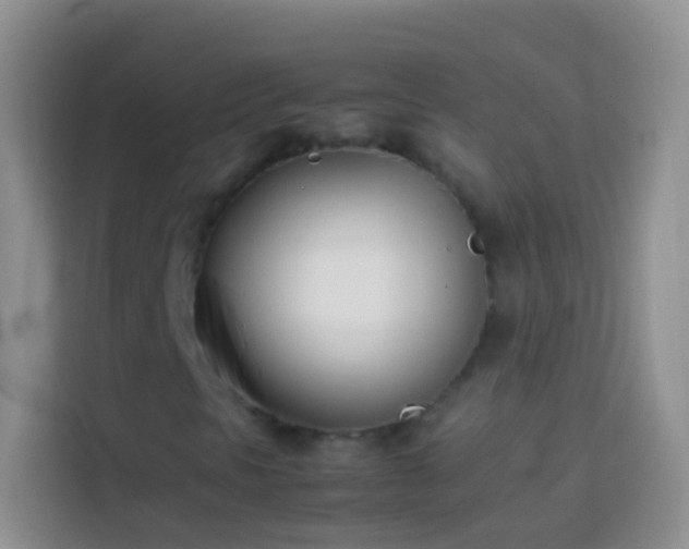 X0000113871297200910011104