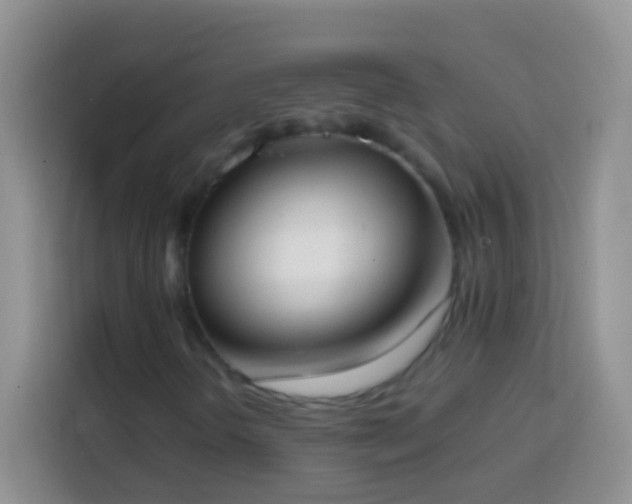 X0000113871298200910011104