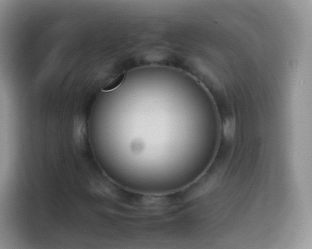 X0000113871299200910011104