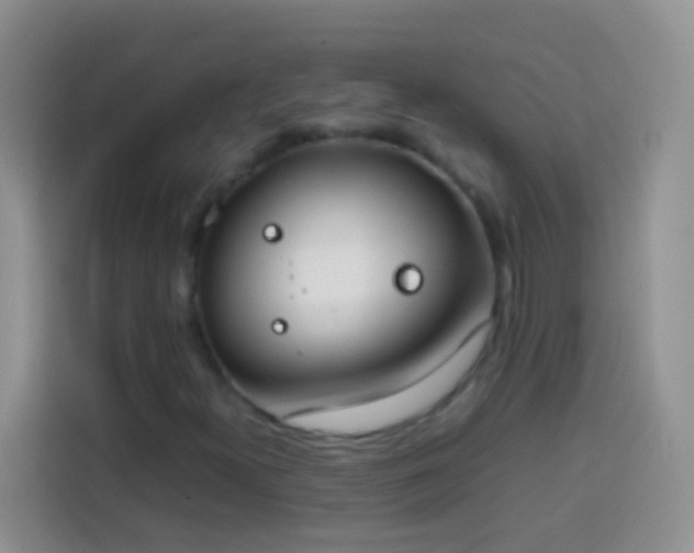 X0000113871300200910011104