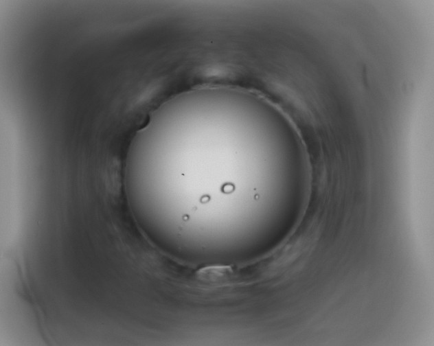 X0000113871301200910011104