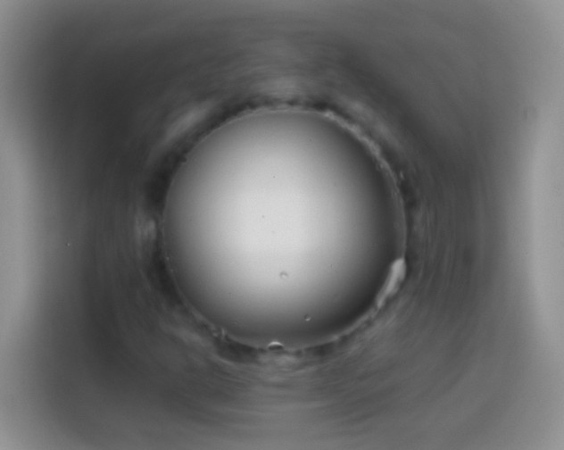 X0000113871302200910011104