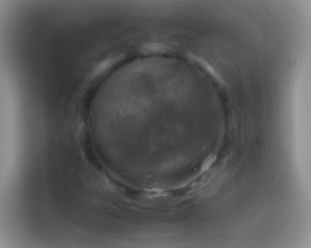 X0000113871303200910011104