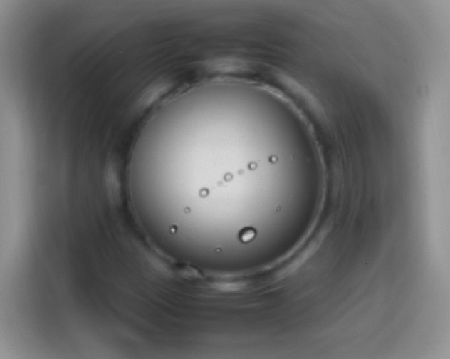 X0000113871305200910011104