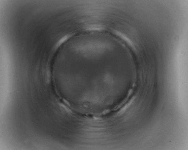 X0000113871306200910011104