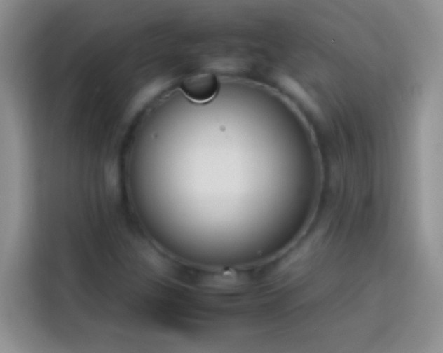 X0000113871307200910011104