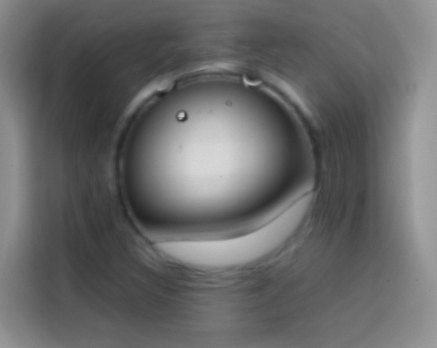 X0000113871308200910011104