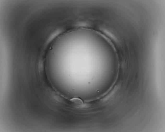 X0000113871309200910011104