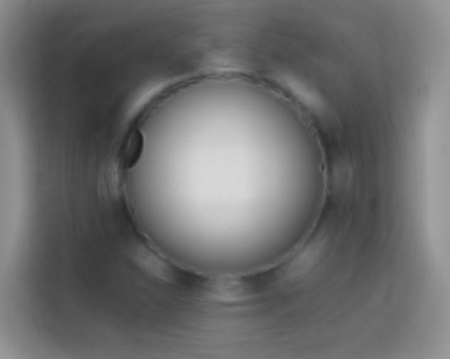 X0000113871310200910011104