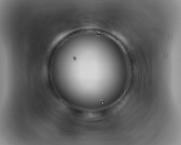 X0000113871311200910011104