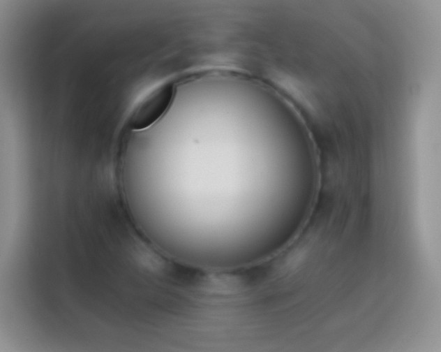 X0000113871312200910011104