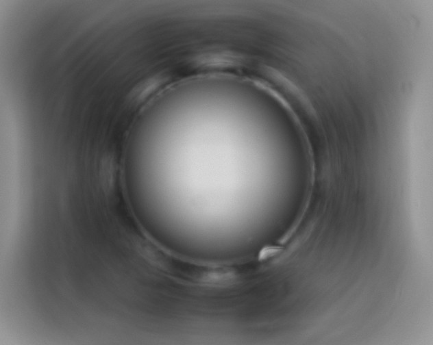 X0000113871313200910011104