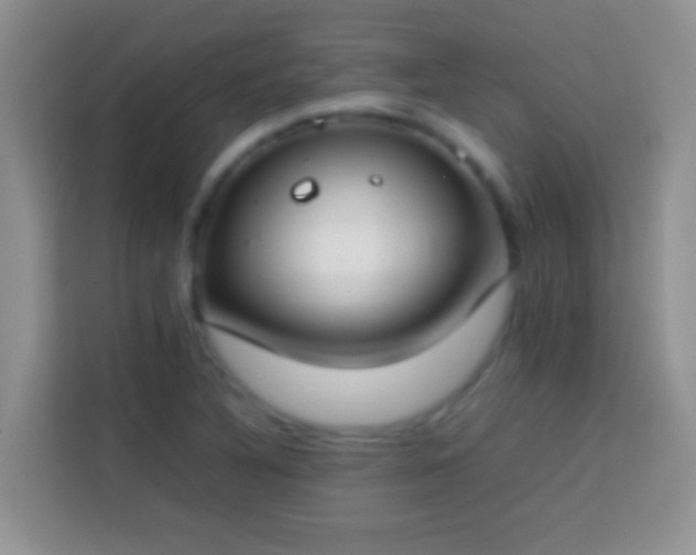 X0000113871316200910011104