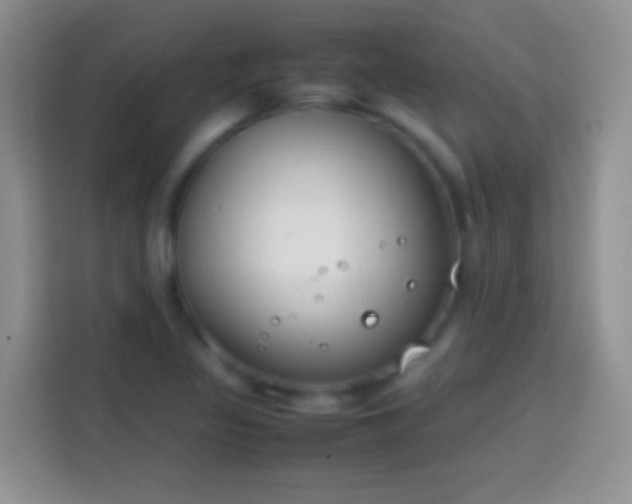 X0000113871317200910011104