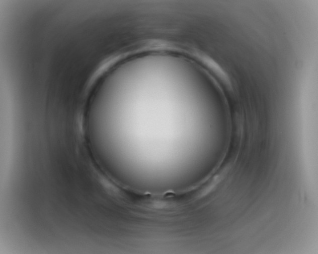 X0000113871318200910011104