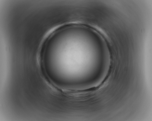 X0000113871319200910011104