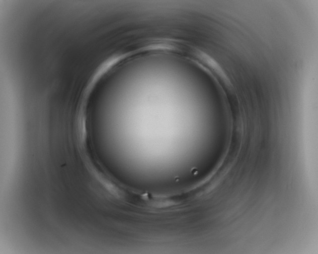 X0000113871323200910011104