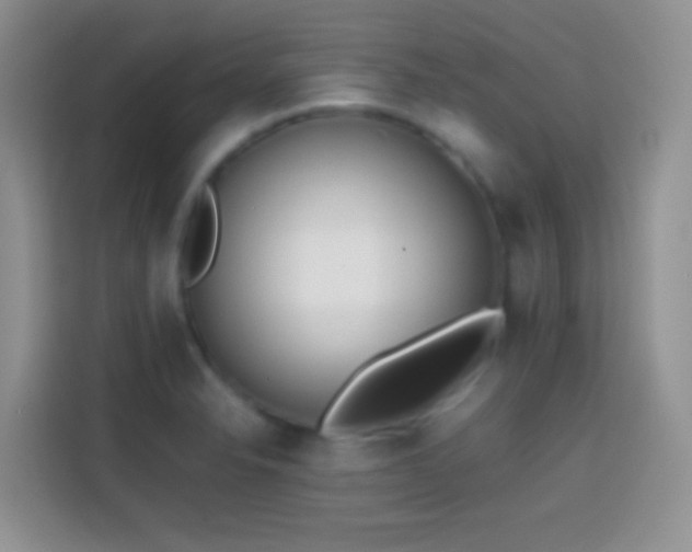 X0000113871326200910011104