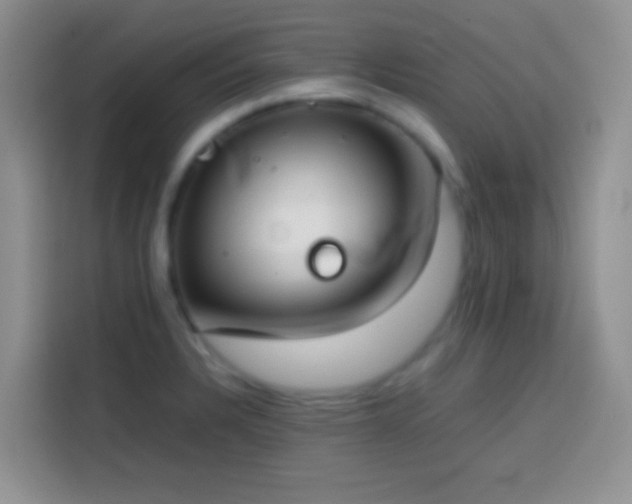 X0000113871328200910011104