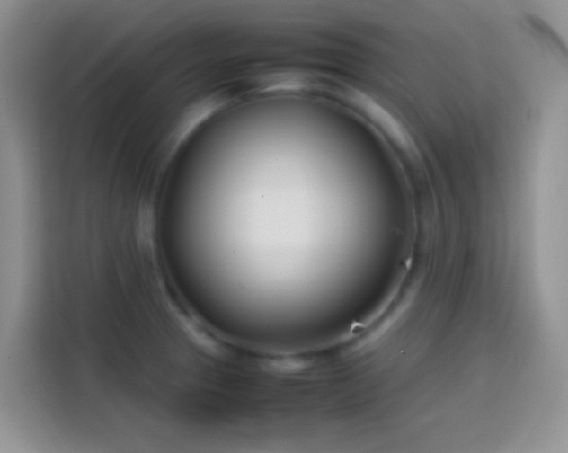 X0000113871329200910011104