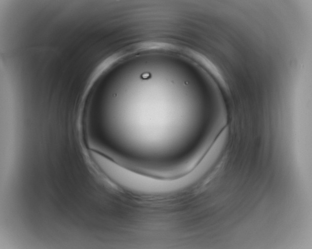 X0000113871330200910011104