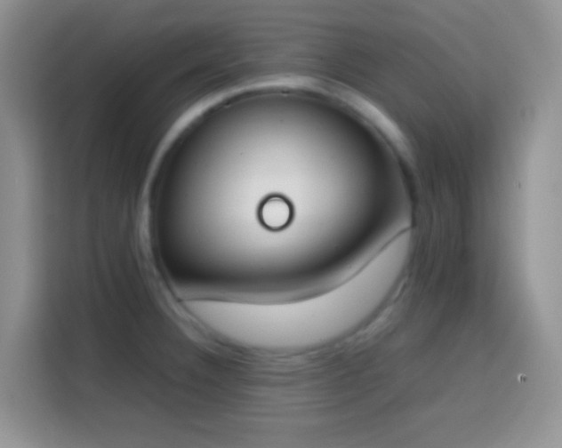 X0000113871332200910011104