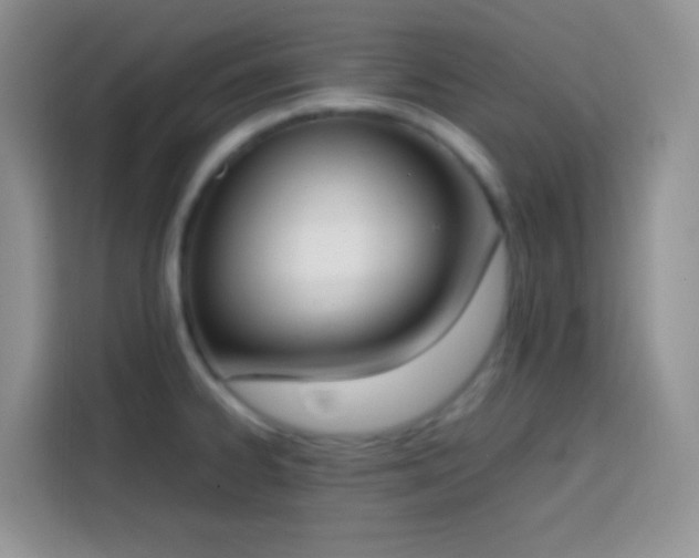 X0000113871334200910011104