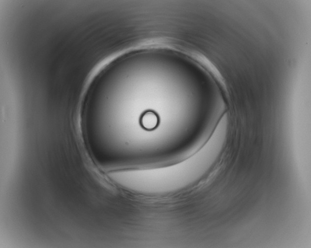 X0000113871336200910011105