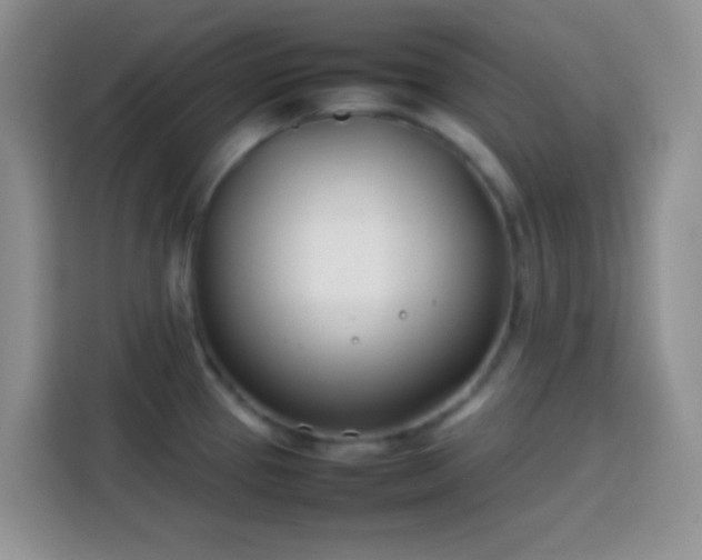 X0000113871337200910011105