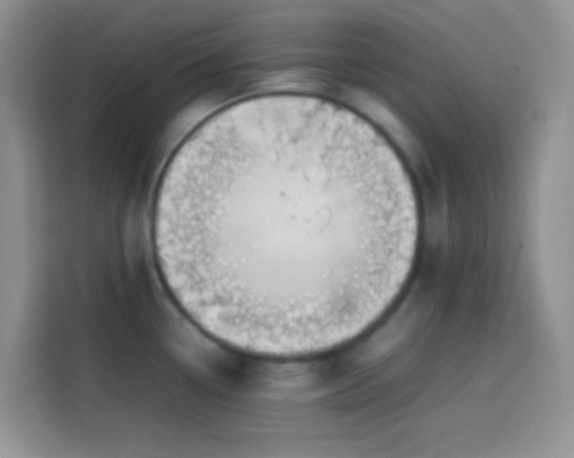 X0000113871338200910011105