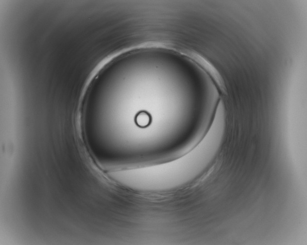 X0000113871340200910011105