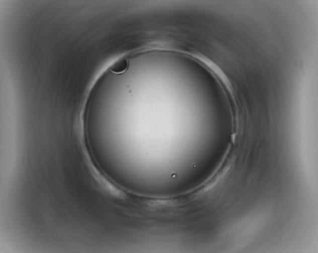 X0000113871341200910011105