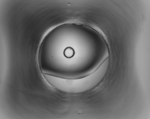 X0000113871344200910011105