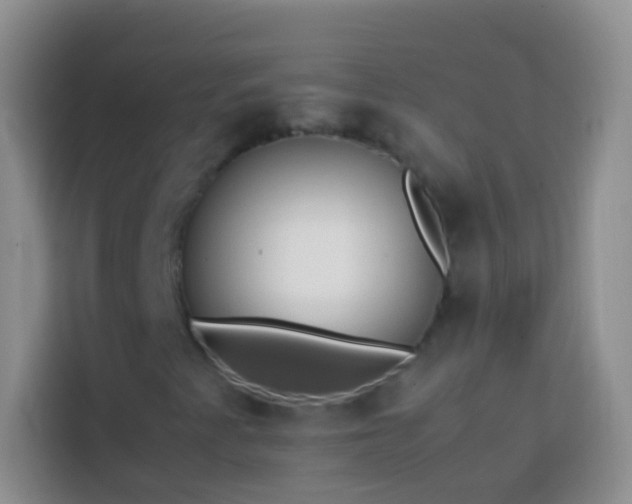 X0000113871345200910011104