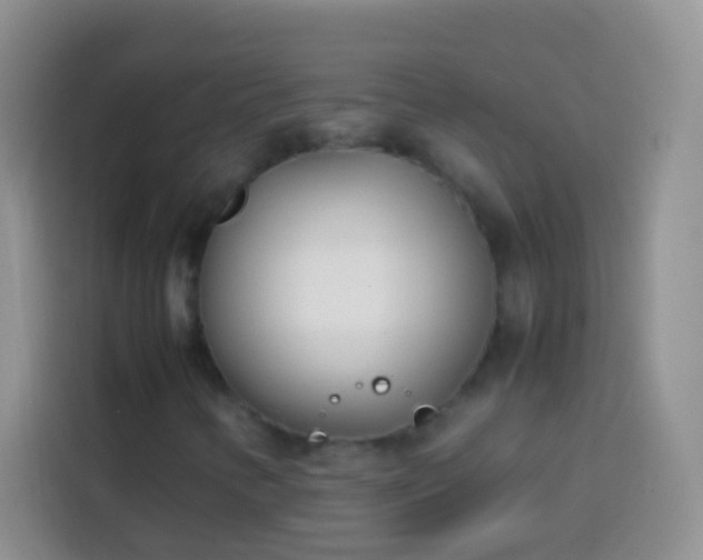 X0000113871346200910011104