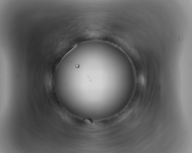 X0000113871348200910011104