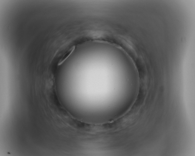 X0000113871349200910011104