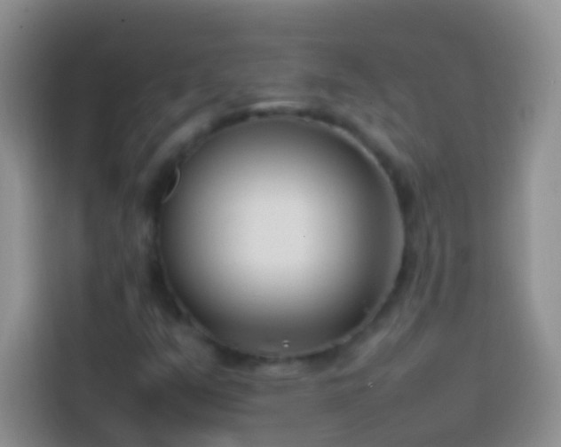 X0000113871351200910011104