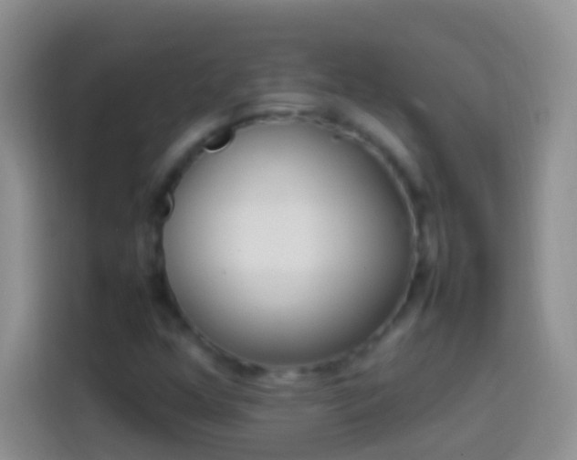 X0000113871352200910011104